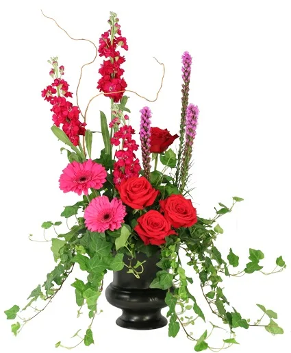 Peaceful Adornment Flowering Plants Peaceful Adornment Flowering Plants