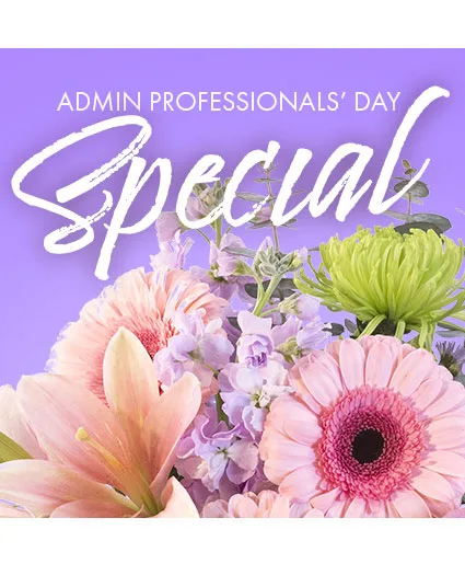 Beautiful Admin Special Designer's Choice Beautiful Admin Special Designer's Choice