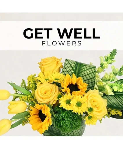 Get Well Florist’s Pick Designer's Choice Get Well Florist’s Pick Designer's Choice