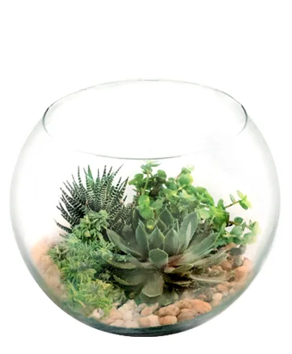 Stunning Succulent Bowl Stunning Succulent Bowl