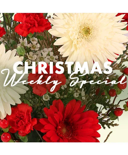 Christmas Arrangement Designer's Choice Christmas Arrangement Designer's Choice