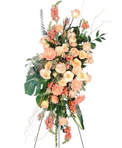 Peach Compassion Standing Spray