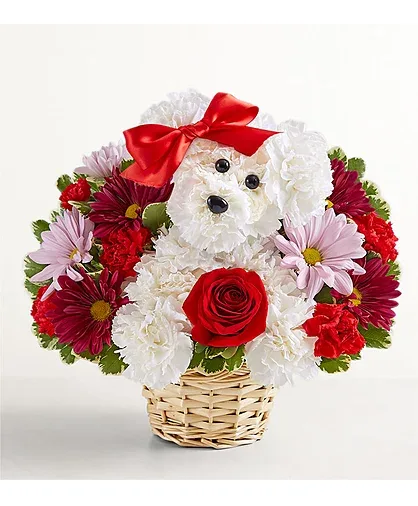 Love Pup Arragement Flower Arrangement Love Pup Arragement Flower Arrangement