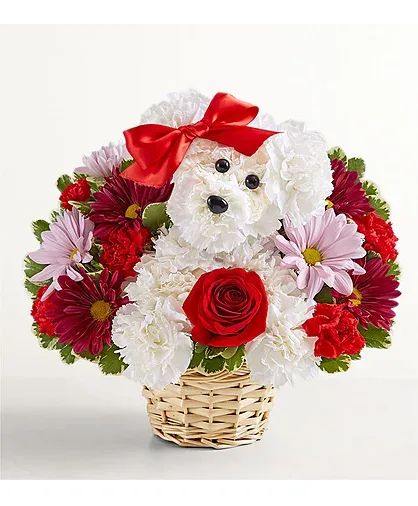 Love Pup Arragement Flower Arrangement