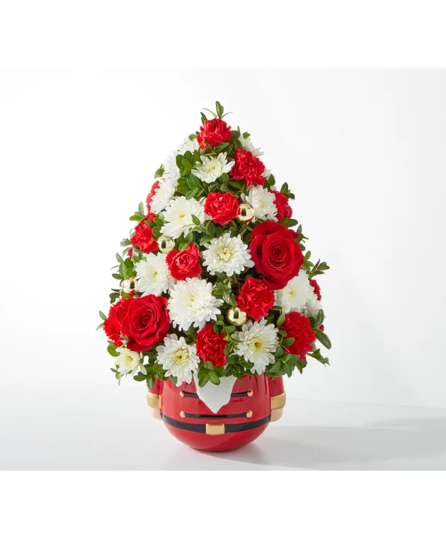 Nutcracker dream Boxwood tree. Nutcracker dream Boxwood tree.