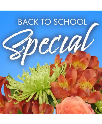 Back to School Special Designer's Choice Back to School Special Designer's Choice
