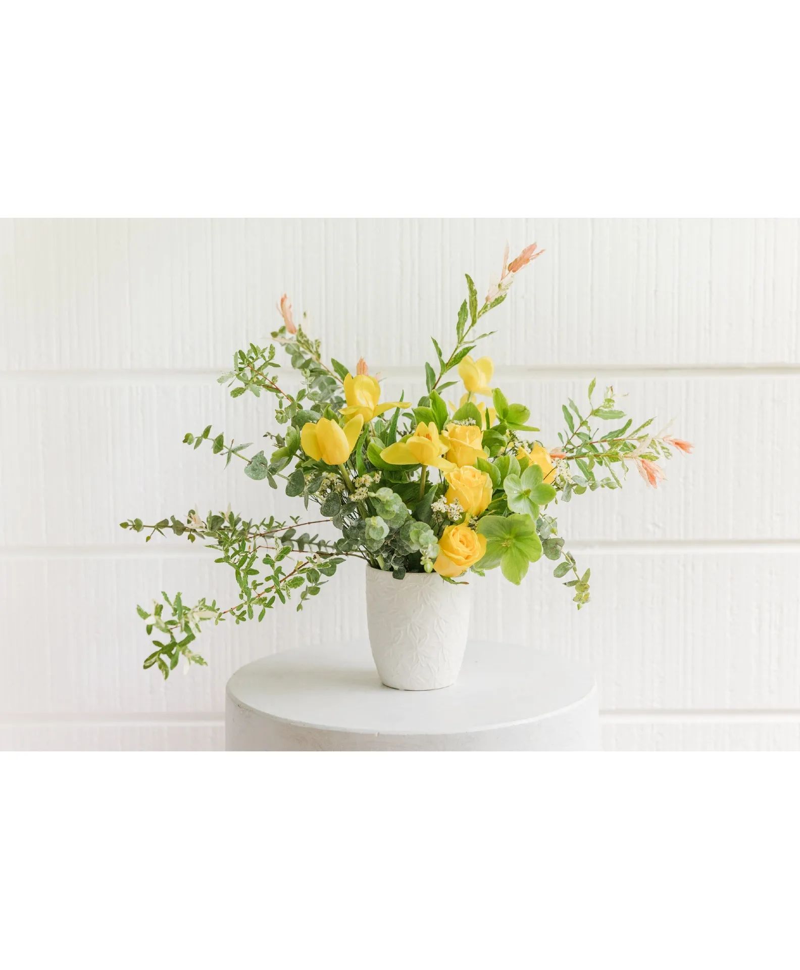 Sunshine Bloom