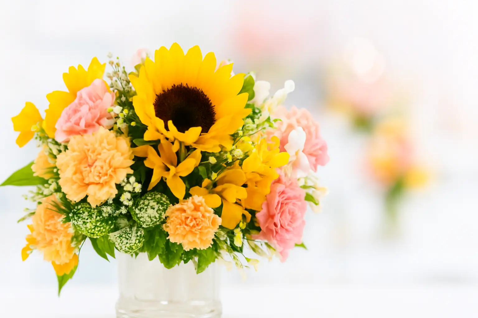 Featured flowers