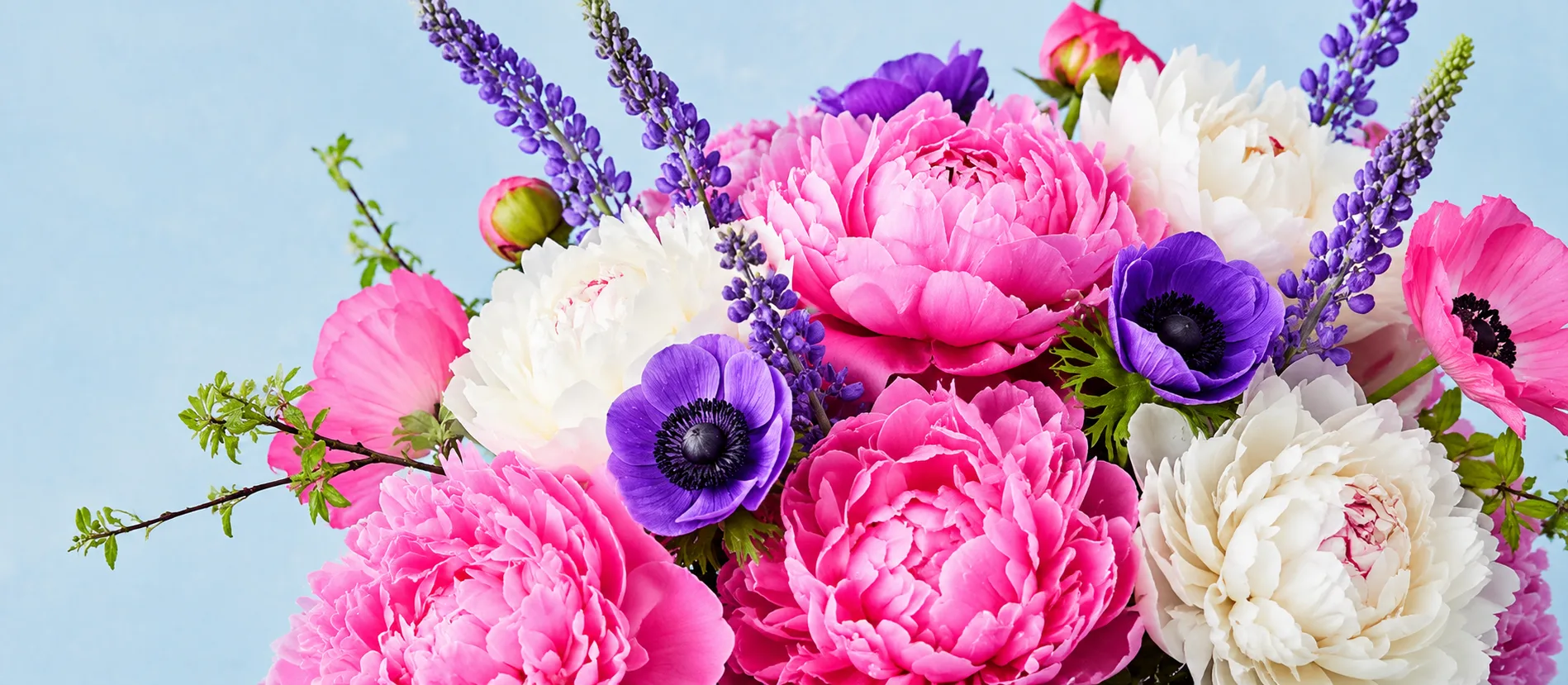 Featured flowers Featured flowers
