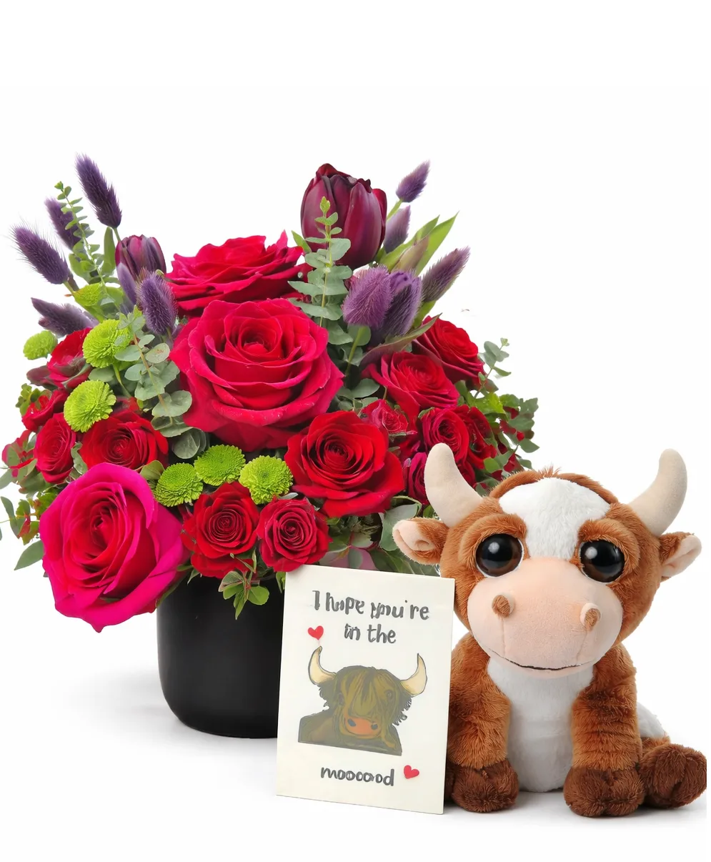 No Bull****, I Love You! No Bull****, I Love You!