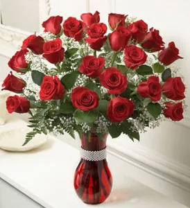 2 Dozen Premium Red Roses 2 Dozen Premium Red Roses