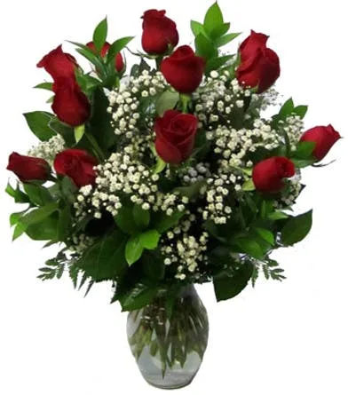 CLASSIC DOZEN ROSES LONG -STEM ROSES CLASSIC DOZEN ROSES LONG -STEM ROSES