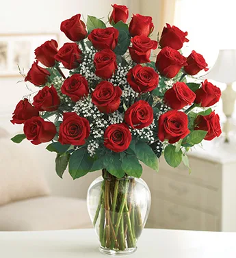 2 dozen Red Roses 2 dozen Red Roses