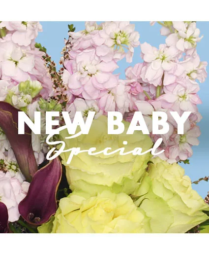 New Baby Special Designer's Choice New Baby Special Designer's Choice