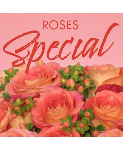 Special of Roses Designer's Choice Special of Roses Designer's Choice