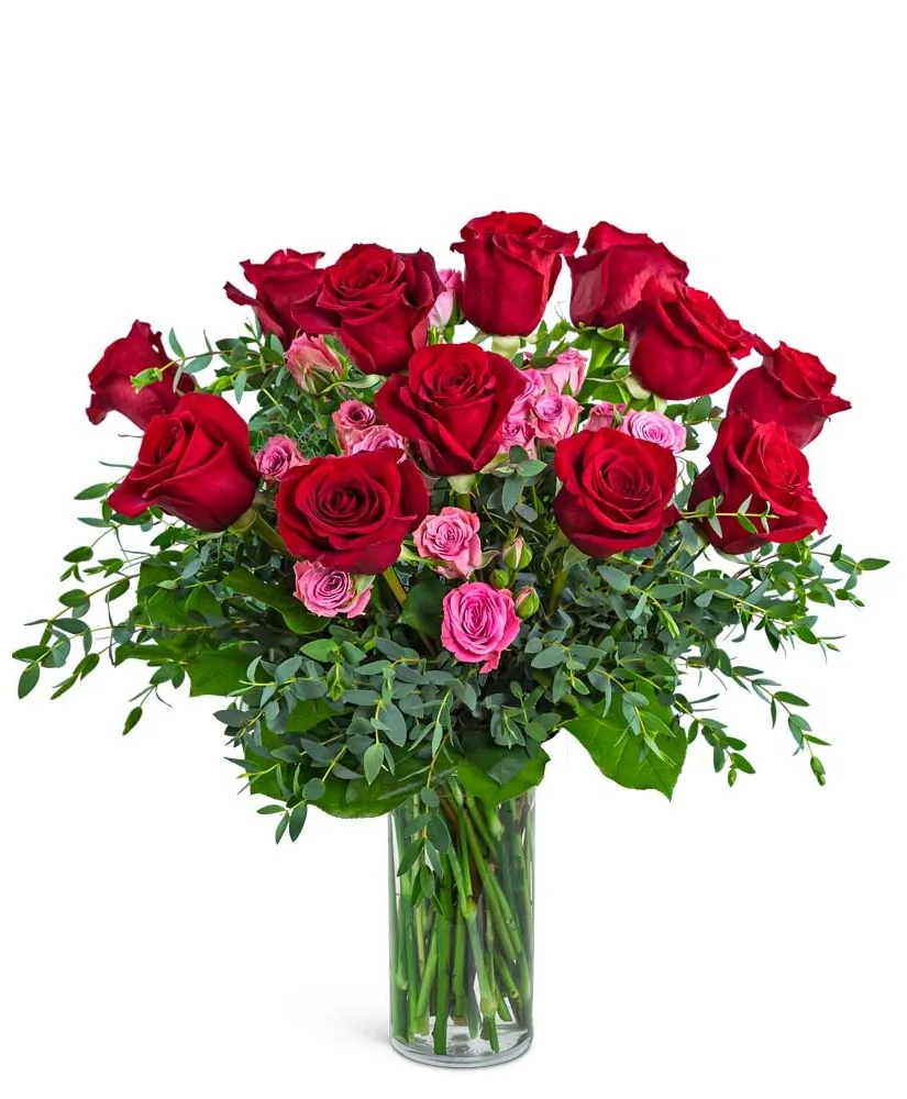 Kiss Me Dozen Roses Flower Arrangement Kiss Me Dozen Roses Flower Arrangement