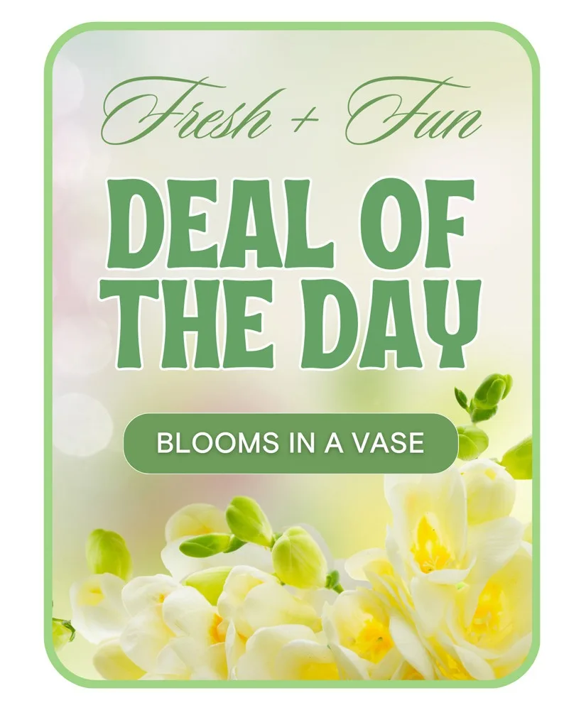 Florist's Deal of the Day Flower Arrangement Florist's Deal of the Day Flower Arrangement