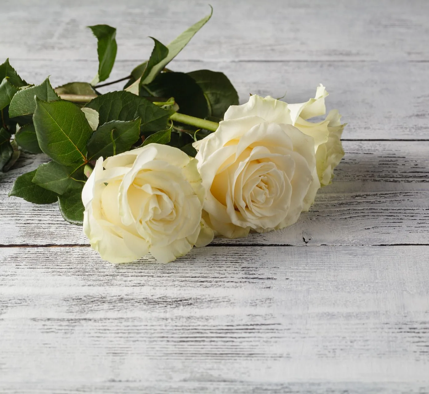 Flower shop image
