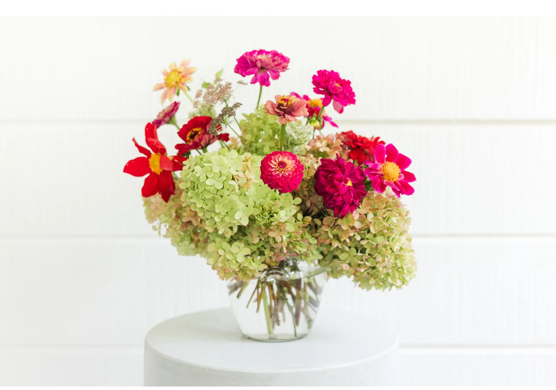 Vibrant Bloom Garden | L.D. FLORAL DELIVERIES